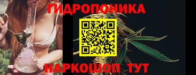 стаф Заводоуковск