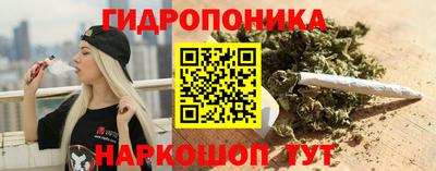 стаф Заводоуковск