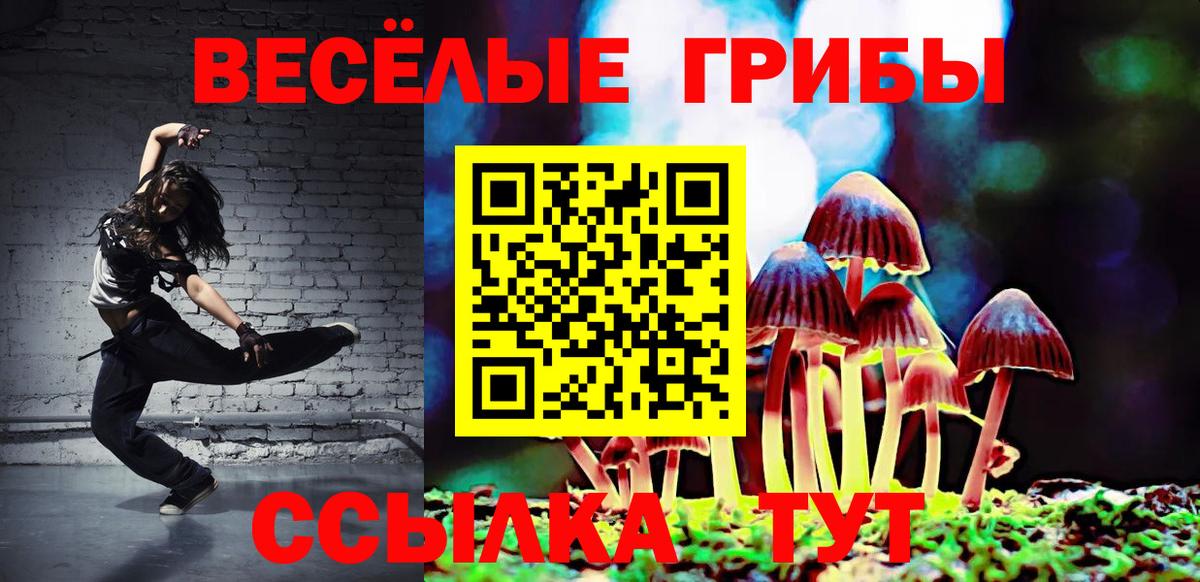 Псилоцибиновые грибы Psilocybine cubensis  Вход с VPN  Грозный  Галлюциногенные грибы Psilocybe 